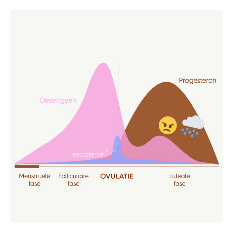 Cycle chart